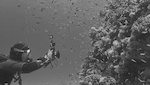 Padi Spec. Onderwater Videografie
