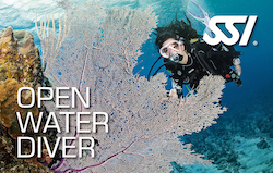 SSI Openwater