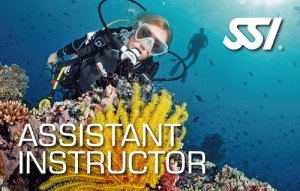 SSI Assistent Instructeur