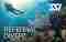 SSI Referral Diver