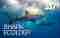 SSI Shark Ecology