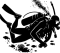 Science Of Diving